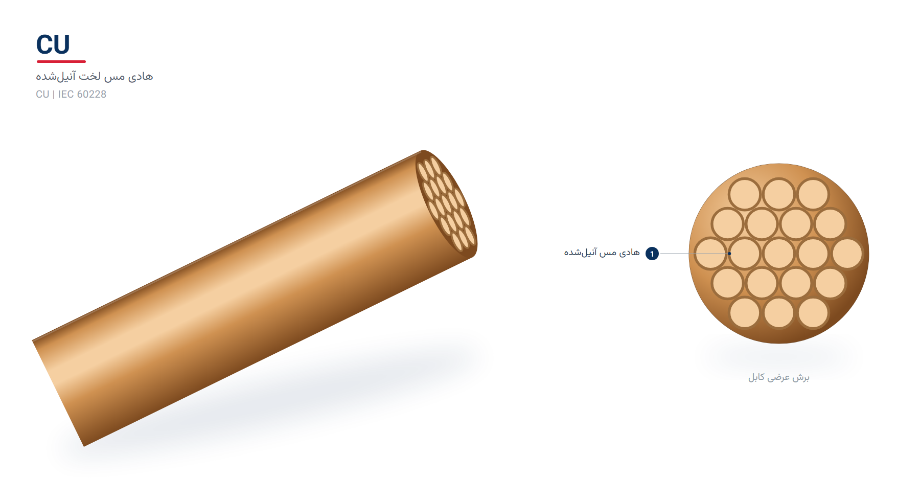 نمای برش‌خورده و برش عرضی هادی مس لخت تولید شرکت کابل متال، هادی مس لخت (Bare Copper Conductor)